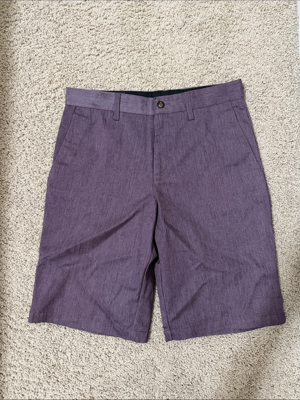 Volcom Men's Purple Casual Shorts